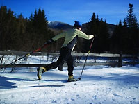 Nordic Skiing Jackson NH